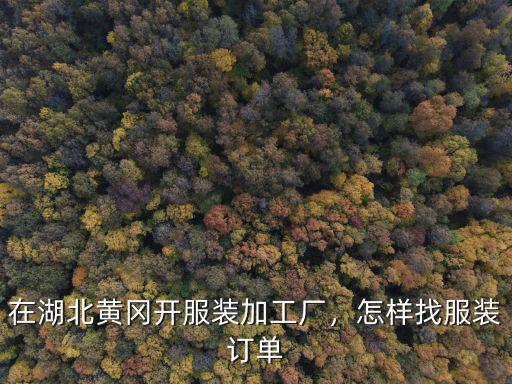 在湖北黃岡開服裝加工廠，怎樣找服裝訂單