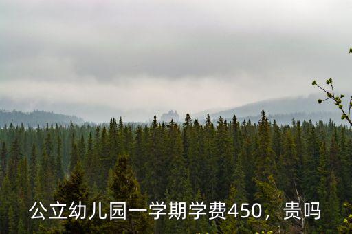 廊坊市公立幼兒園每月收費多少,公立幼兒園一學期學費450