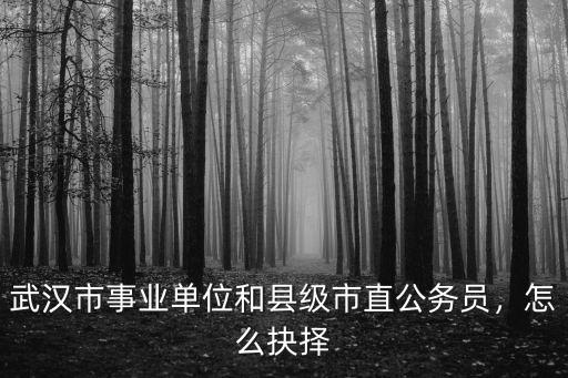 武漢市事業單位和縣級市直公務員，怎么抉擇