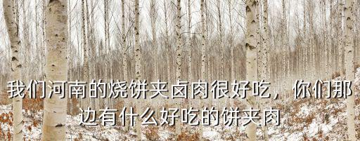 吃河南哪里的鹵肉好吃,我們河南的燒餅夾鹵肉很好吃
