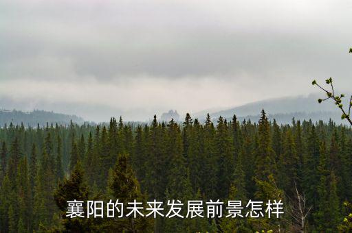 襄陽的未來發展前景怎樣