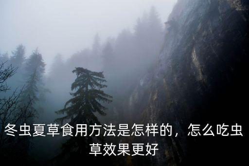 冬蟲夏草食用方法是怎樣的，怎么吃蟲草效果更好