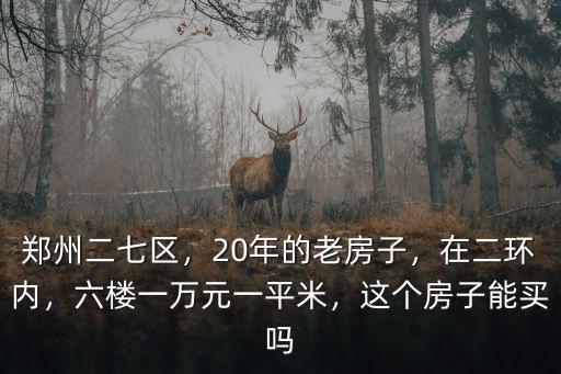鄭州二七區，20年的老房子，在二環內，六樓一萬元一平米，這個房子能買嗎