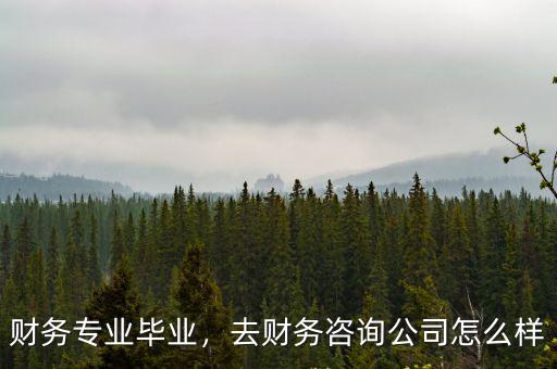武漢欣榮財務咨詢工作怎么樣,去財務咨詢公司怎么樣