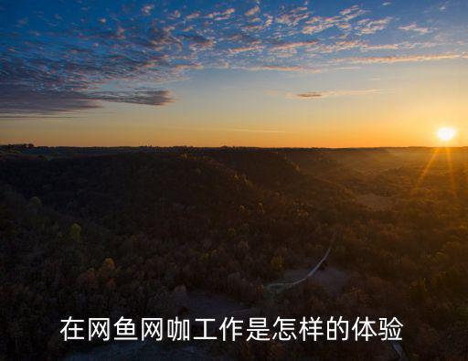 黃石網魚網咖生意怎么樣,在網魚網咖工作是怎樣的體驗