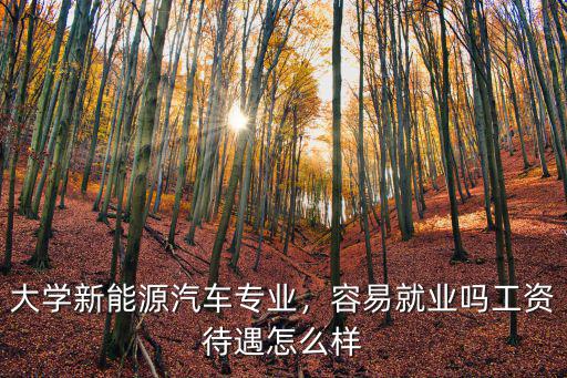 湖北萬潤新能源工資怎么樣,工資待遇怎么樣