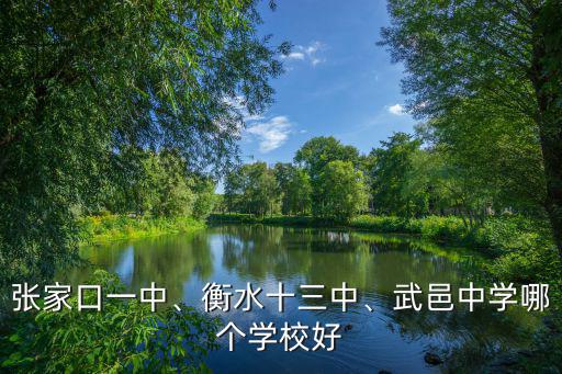 湖北武邑中學怎么樣,黃驊中學和武邑中學哪個好