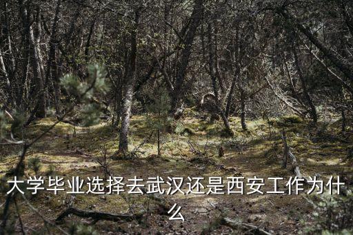 大學畢業去武漢找工作怎么樣,今年回武漢找工作不順利