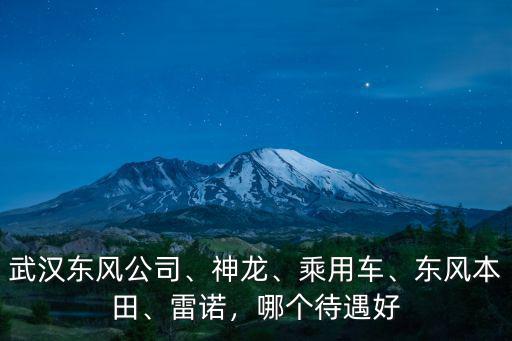 東風武漢工廠待遇怎么樣,武漢東風汽配廠待遇怎么樣