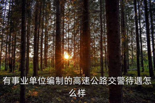 有事業單位編制的高速公路交警待遇怎么樣