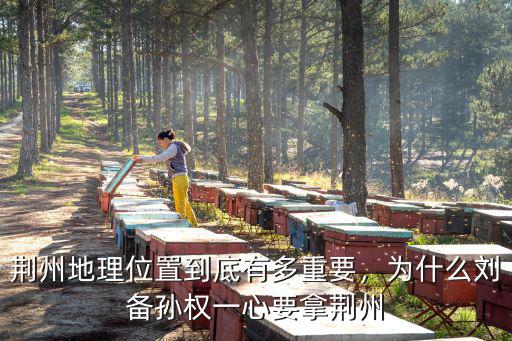 劉備怎么拿荊州,為什么劉備孫權(quán)一心要拿荊州