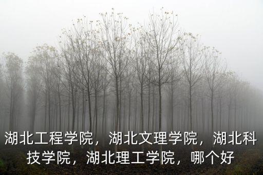 湖北工程學(xué)院，湖北文理學(xué)院，湖北科技學(xué)院，湖北理工學(xué)院，哪個好