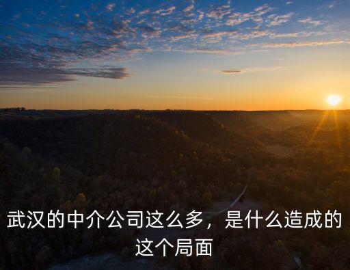 武漢多來(lái)點(diǎn)公司怎么樣,武漢小米公司待遇怎么樣