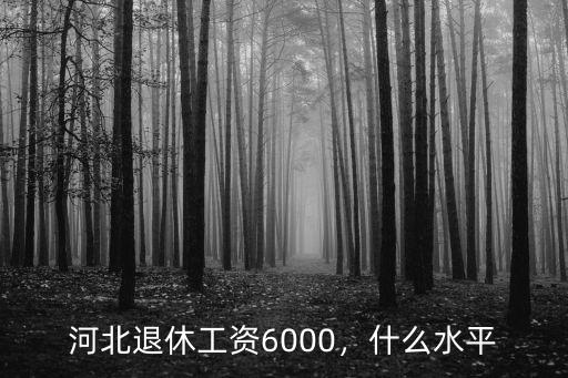河北退休工資6000，什么水平