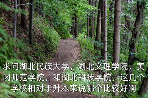 求問湖北民族大學，湖北文理學院，黃岡師范學院，和湖北科技學院，這幾個學校相對于升本來說哪個比較好啊