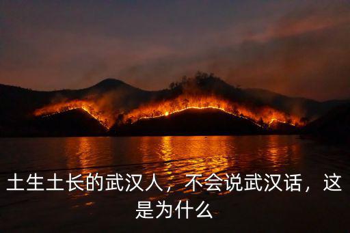 土生土長的武漢人，不會說武漢話，這是為什么
