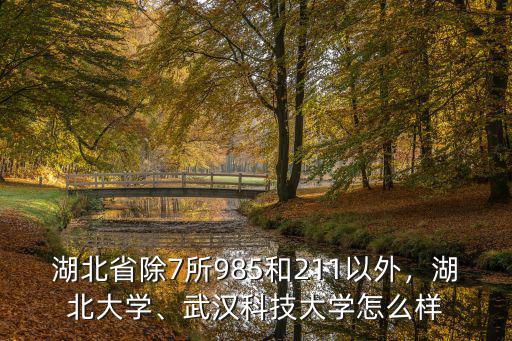 湖北省除7所985和211以外，湖北大學、武漢科技大學怎么樣