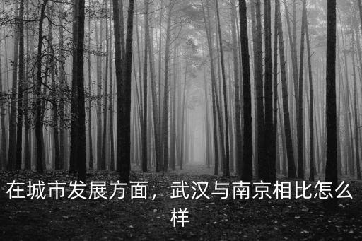 在城市發展方面，武漢與南京相比怎么樣