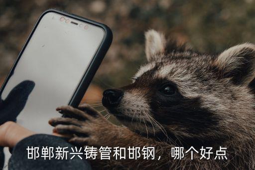 邯鋼在邯鄲地區有多少分廠,邯鄲在中國的哪里