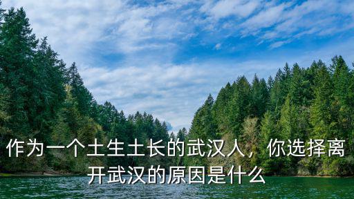 武漢的病因是怎么樣的,武漢叫武漢的原因是什么