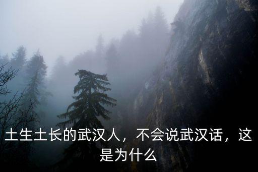 土生土長的武漢人，不會說武漢話，這是為什么