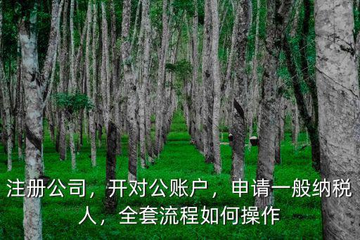 注冊公司，開對(duì)公賬戶，申請(qǐng)一般納稅人，全套流程如何操作