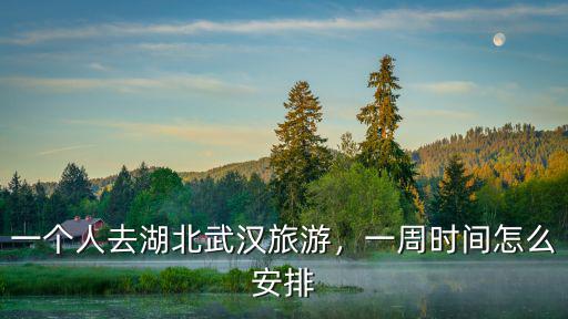 一個人去湖北武漢旅游，一周時間怎么安排
