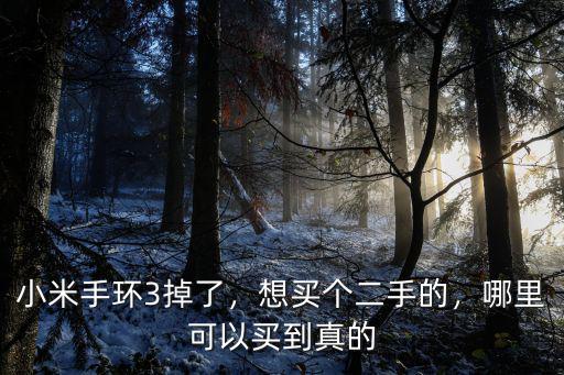 南陽哪里有賣小米手環的,小米手環有哪些功能