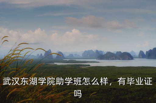 武漢東湖學院怎么借書,武漢東湖學院好不好