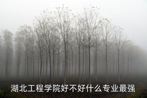 湖北省武漢市工程學院怎么樣,武漢生物工程學院怎么樣