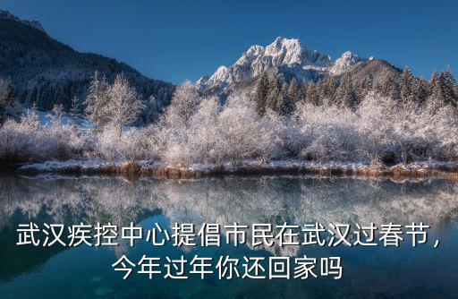 武漢跨年怎么回去,去武漢跨年一日游