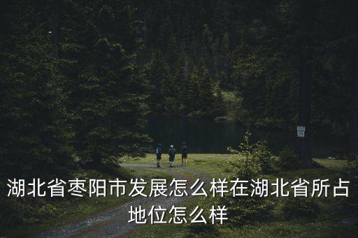 到湖北棗陽高速怎么樣,湖北省棗陽市發(fā)展怎么樣
