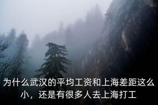 為什么武漢的平均工資和上海差距這么小，還是有很多人去上海打工