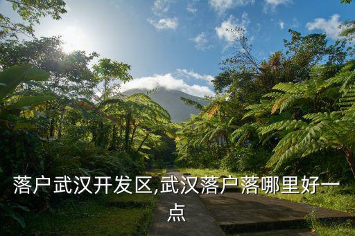 怎么落戶武漢開(kāi)發(fā)區(qū),武漢落戶落哪里好一點(diǎn)