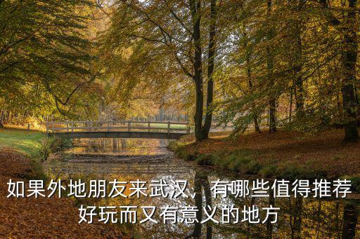 如果外地朋友來武漢，有哪些值得推薦好玩而又有意義的地方