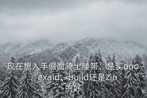 現(xiàn)在想入手假面騎士腰帶，是買ooo、exaid、build還是zio的好