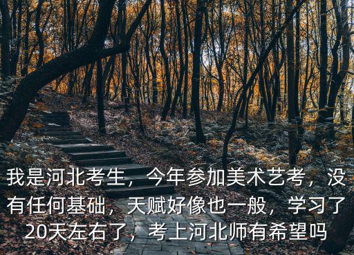 我是河北考生，今年參加美術(shù)藝考，沒(méi)有任何基礎(chǔ)，天賦好像也一般，學(xué)習(xí)了20天左右了，考上河北師有希望嗎