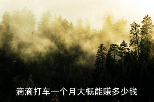滴滴打車一個(gè)月大概能賺多少錢