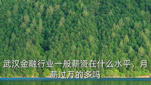 武漢金融工作局待遇怎么樣,武漢小米公司待遇怎么樣