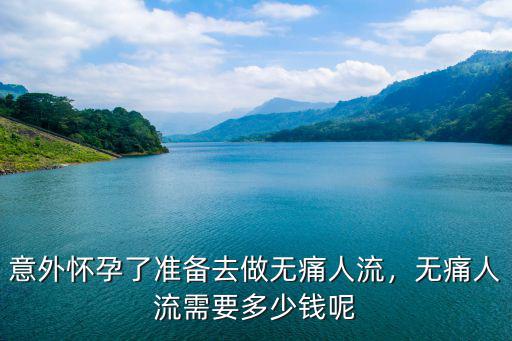 衡水無痛人流要多少錢,無痛人流需要多少錢呢