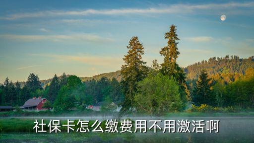 社保卡怎么繳費用不用激活啊