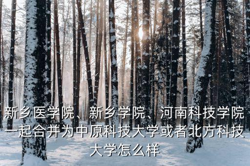 新鄉醫學院、新鄉學院、河南科技學院一起合并為中原科技大學或者北方科技大學怎么樣