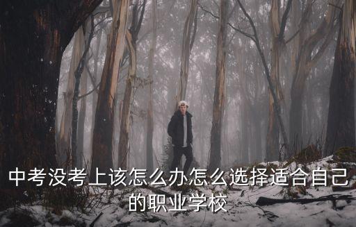中考沒(méi)考上該怎么辦怎么選擇適合自己的職業(yè)學(xué)校