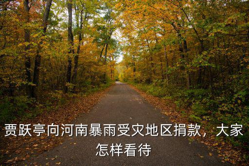 賈躍亭向河南暴雨受災地區捐款，大家怎樣看待