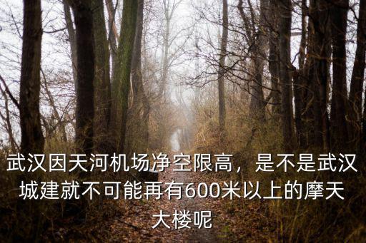 武漢因天河機場凈空限高，是不是武漢城建就不可能再有600米以上的摩天大樓呢