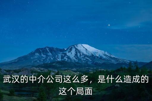 中介怎么帶血液過香港武漢,武漢的中介公司這么多