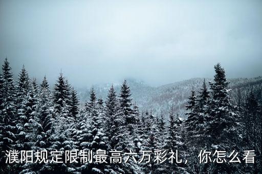 濮陽規定限制最高六萬彩禮，你怎么看