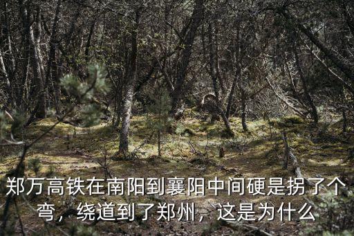 南陽(yáng)現(xiàn)在怎么到襄陽(yáng),滬康高鐵走襄陽(yáng)還是南陽(yáng)