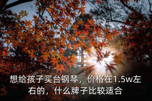 漯河京珠珠江鋼琴價格多少錢,珠江鋼琴和京珠鋼琴哪個好
