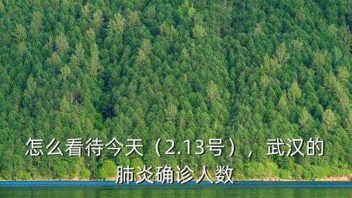 怎么看待今天（2.13號），武漢的肺炎確診人數